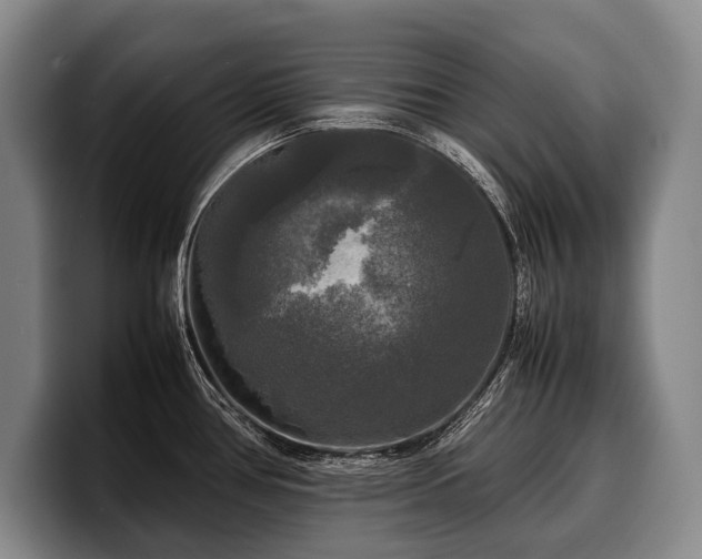 X0000100311386200806051447