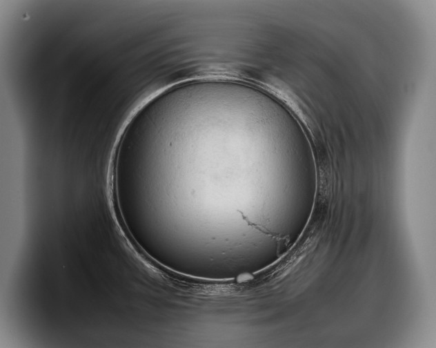 X0000100311387200806051447