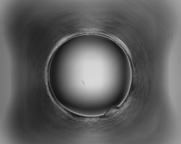 X0000100311389200806051446
