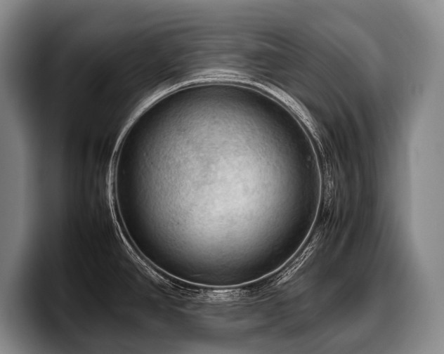 X0000100311390200806051446