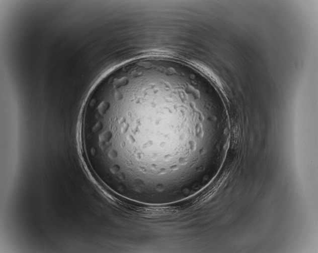 X0000100311391200806051446