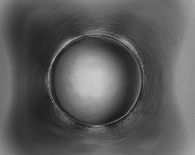 X0000100311392200806051446