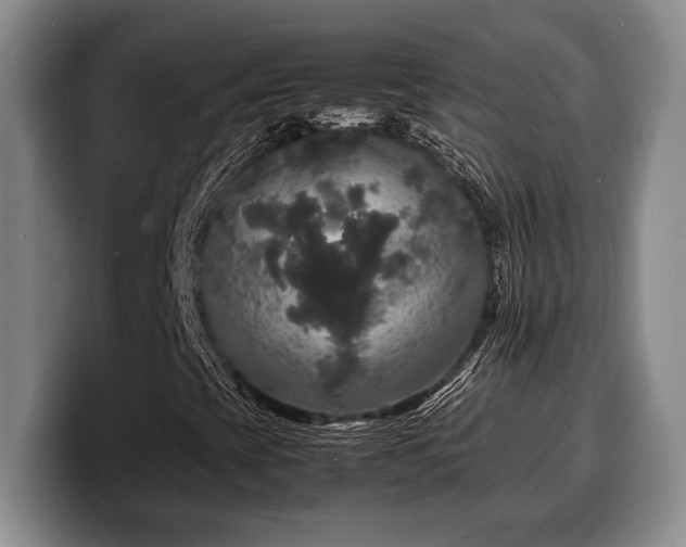 X0000100311393200806051446