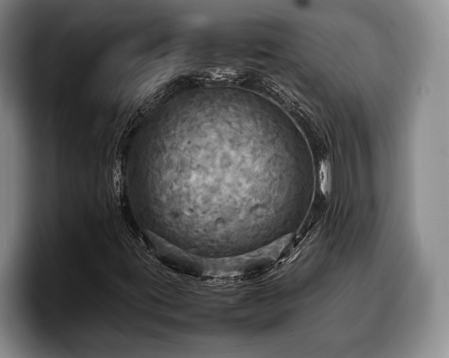X0000100311395200806051446