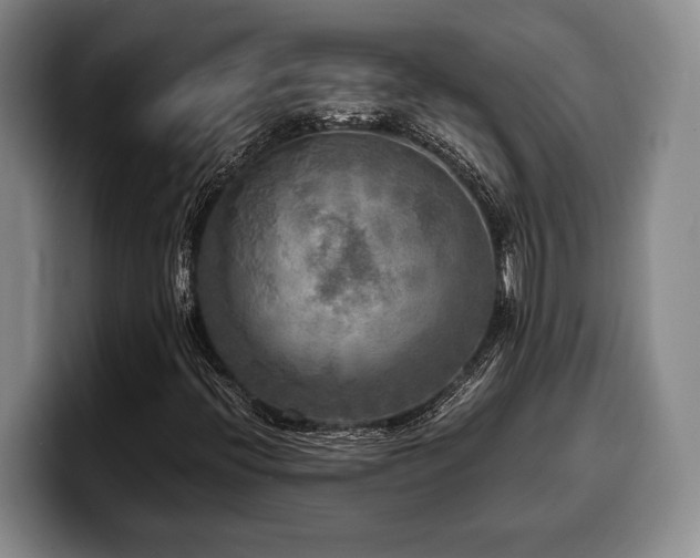 X0000100311396200806051446
