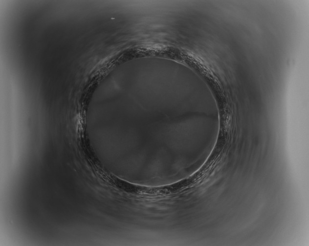 X0000100311397200806051446
