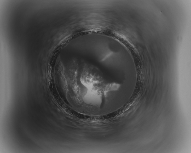 X0000100311399200806051446