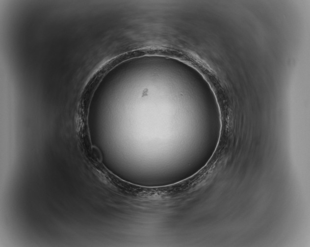 X0000100311400200806051446