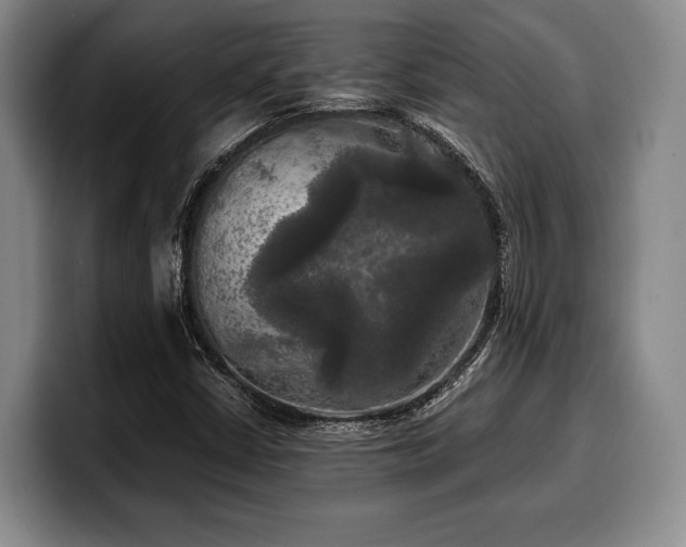 X0000100311402200806051446