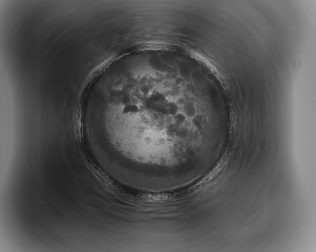X0000100311403200806051446