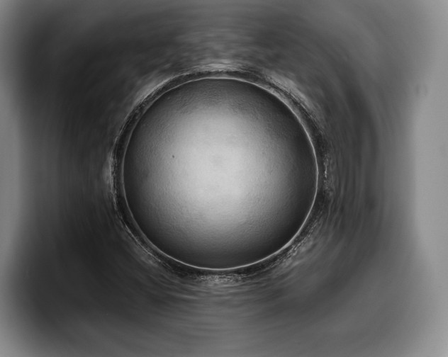 X0000100311404200806051446