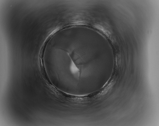 X0000100311405200806051446