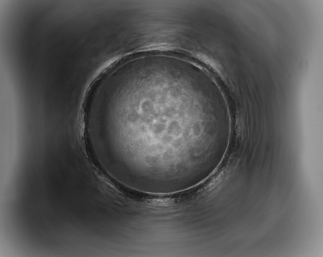 X0000100311406200806051446