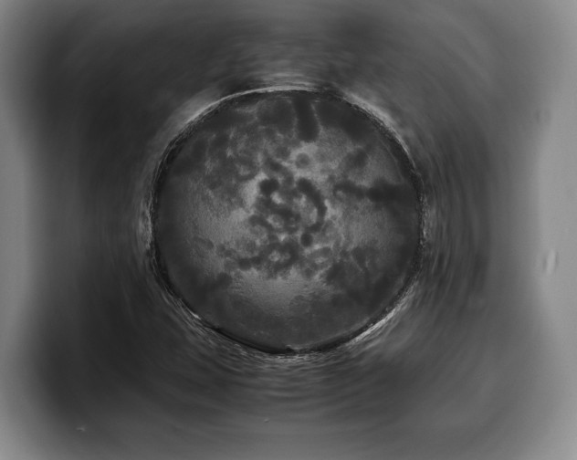 X0000100311407200806051446
