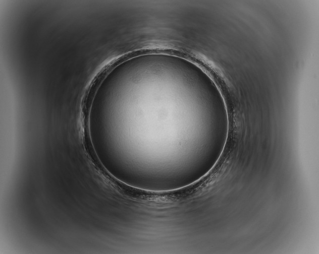 X0000100311408200806051446