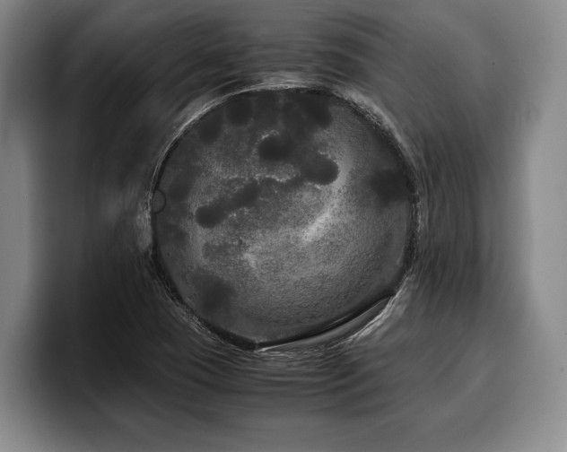 X0000100311409200806051446
