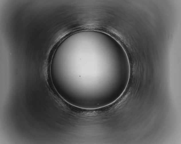 X0000100311410200806051446