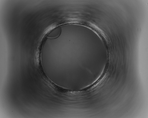 X0000100311411200806051446