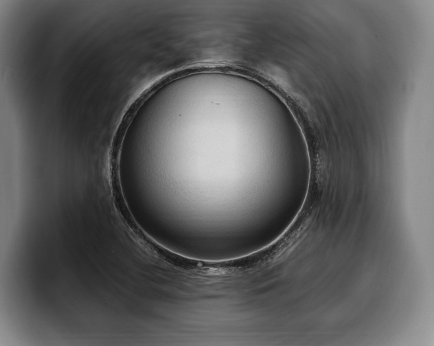X0000100311412200806051446