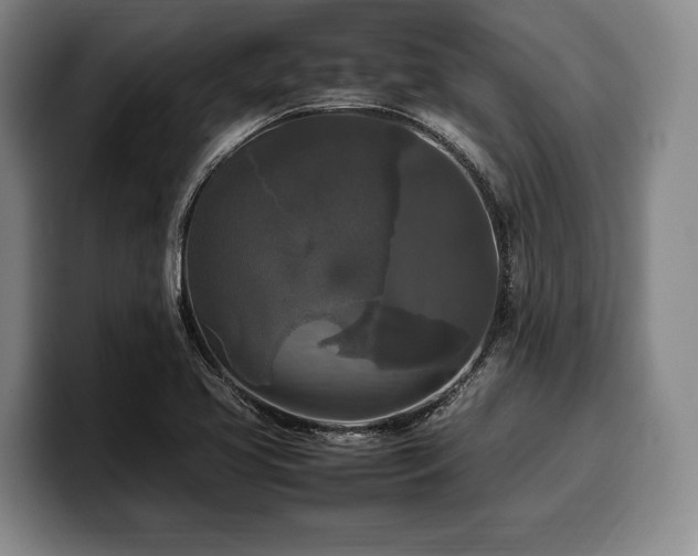 X0000100311413200806051446