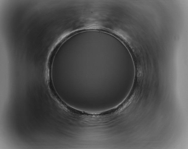 X0000100311414200806051446