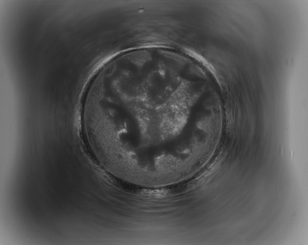 X0000100311415200806051446