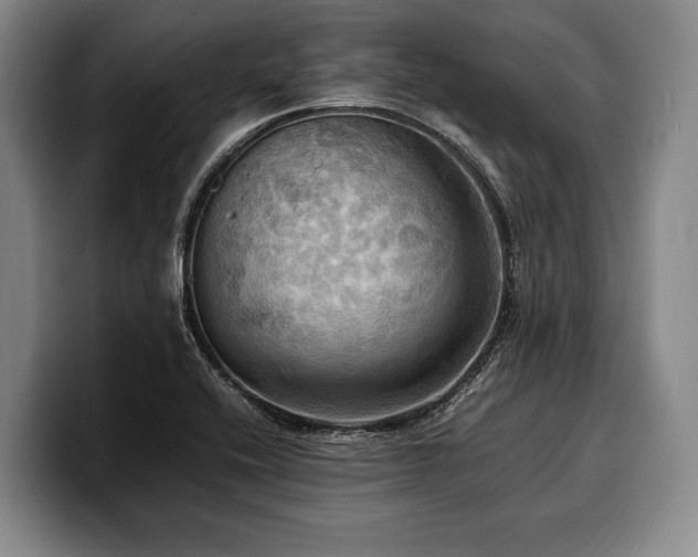 X0000100311416200806051446