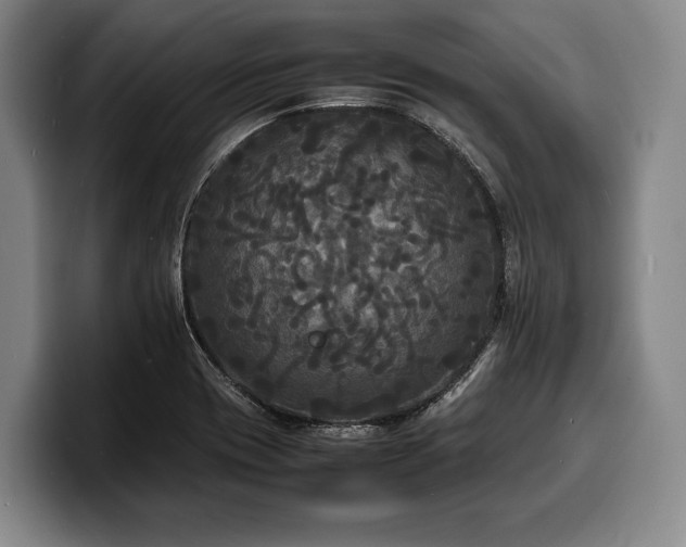 X0000100311417200806051446