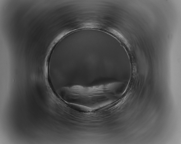 X0000100311419200806051446