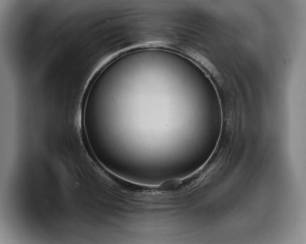 X0000100311420200806051446
