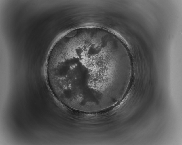 X0000100311421200806051446