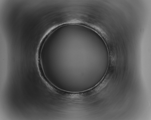 X0000100311422200806051446