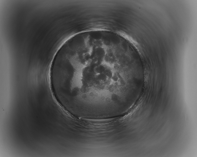 X0000100311423200806051446
