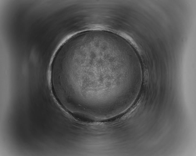 X0000100311424200806051446