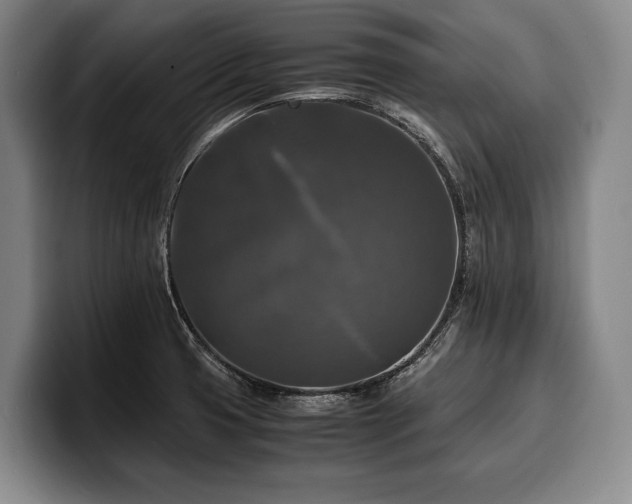 X0000100311425200806051446