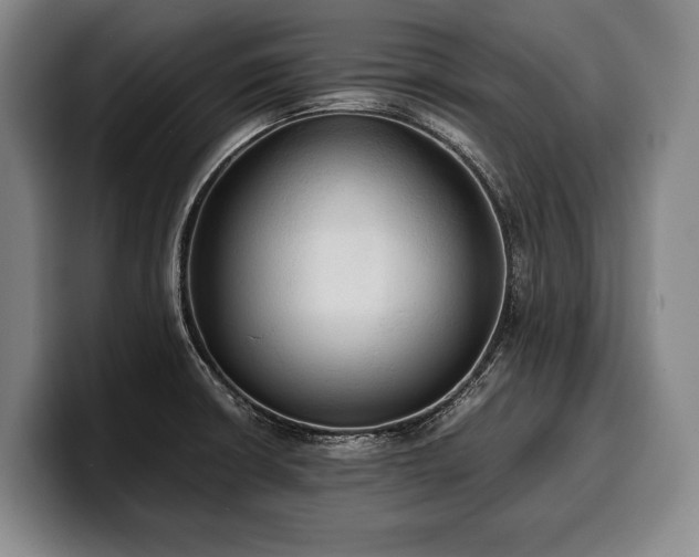 X0000100311426200806051446
