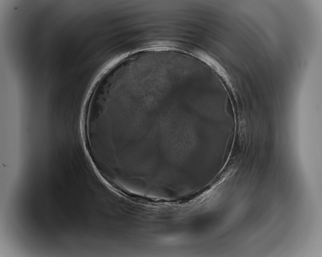 X0000100311429200806051446