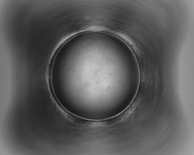 X0000100311430200806051446