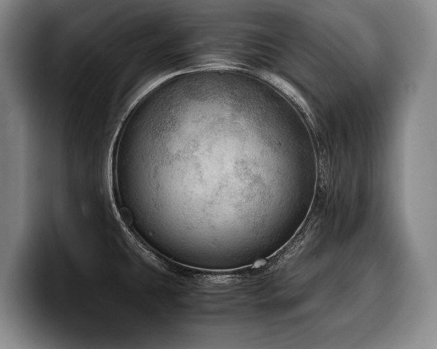 X0000100311431200806051446