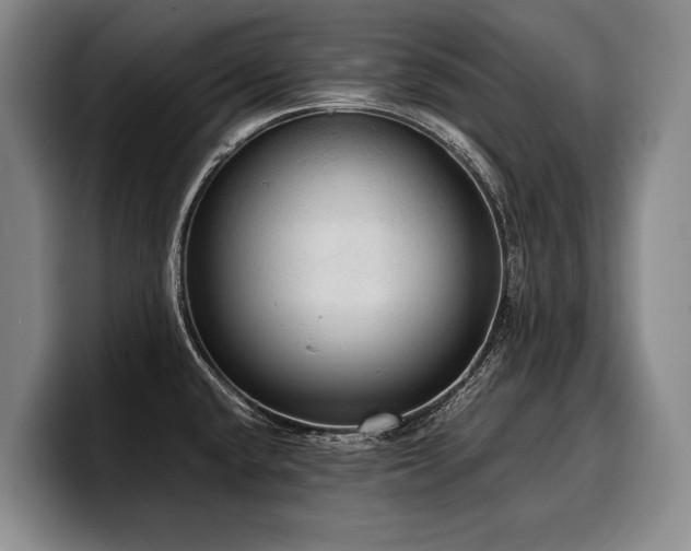 X0000100311432200806051446