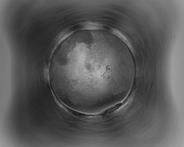 X0000100311433200806051446