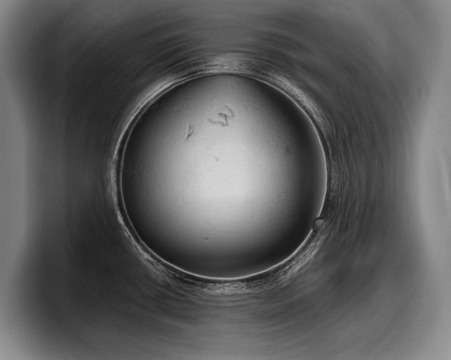 X0000100311434200806051446