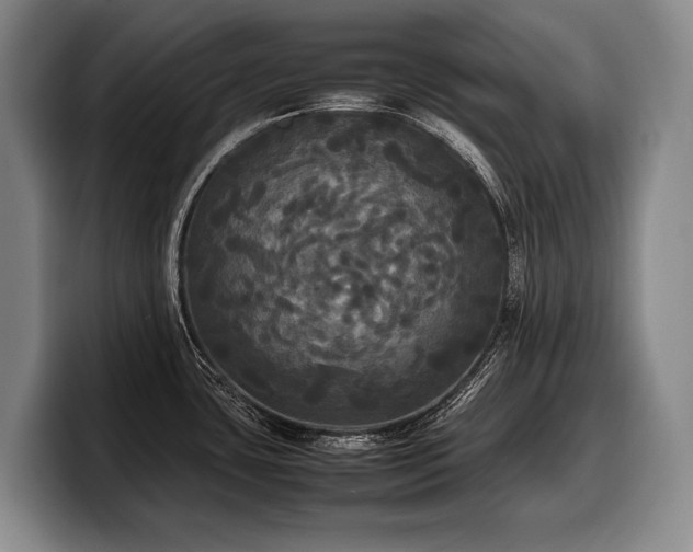 X0000100311435200806051446