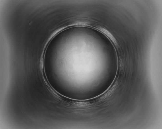 X0000100311436200806051446