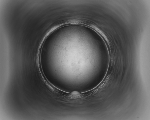 X0000100311437200806051446