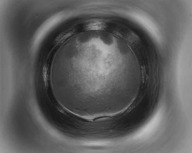X0000100311438200806051446