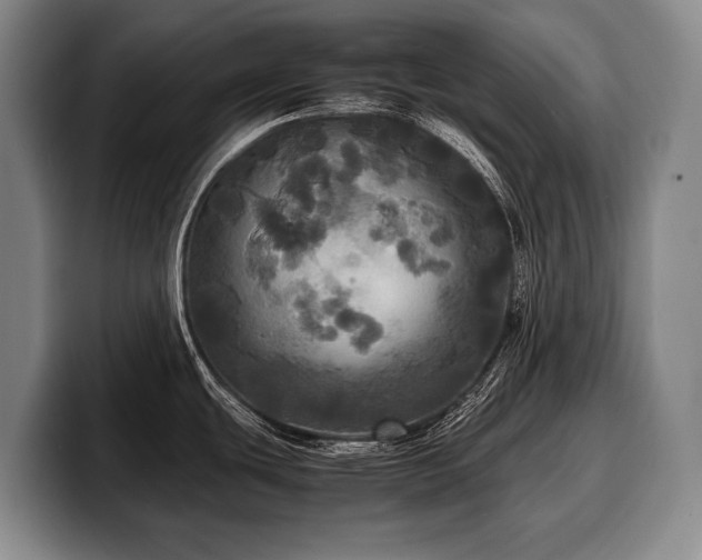 X0000100311439200806051446