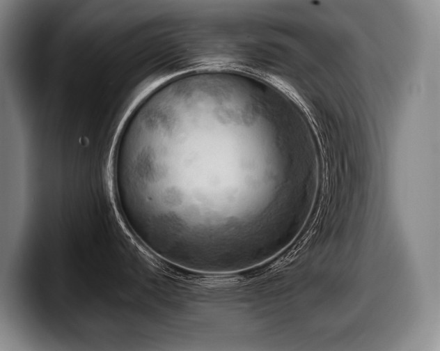 X0000100311440200806051446