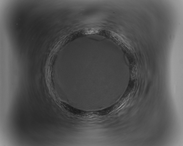 X0000100311441200806051446