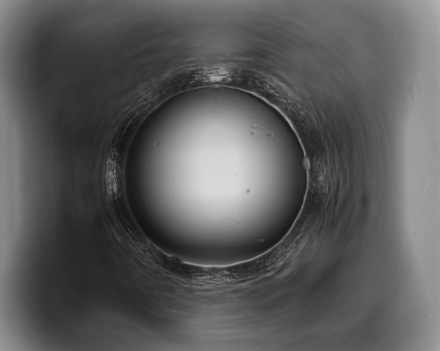 X0000100311442200806051446